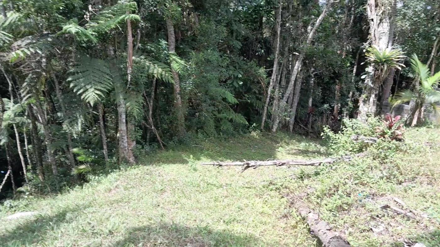 Casa de Condomínio, 4 quartos - Foto 29