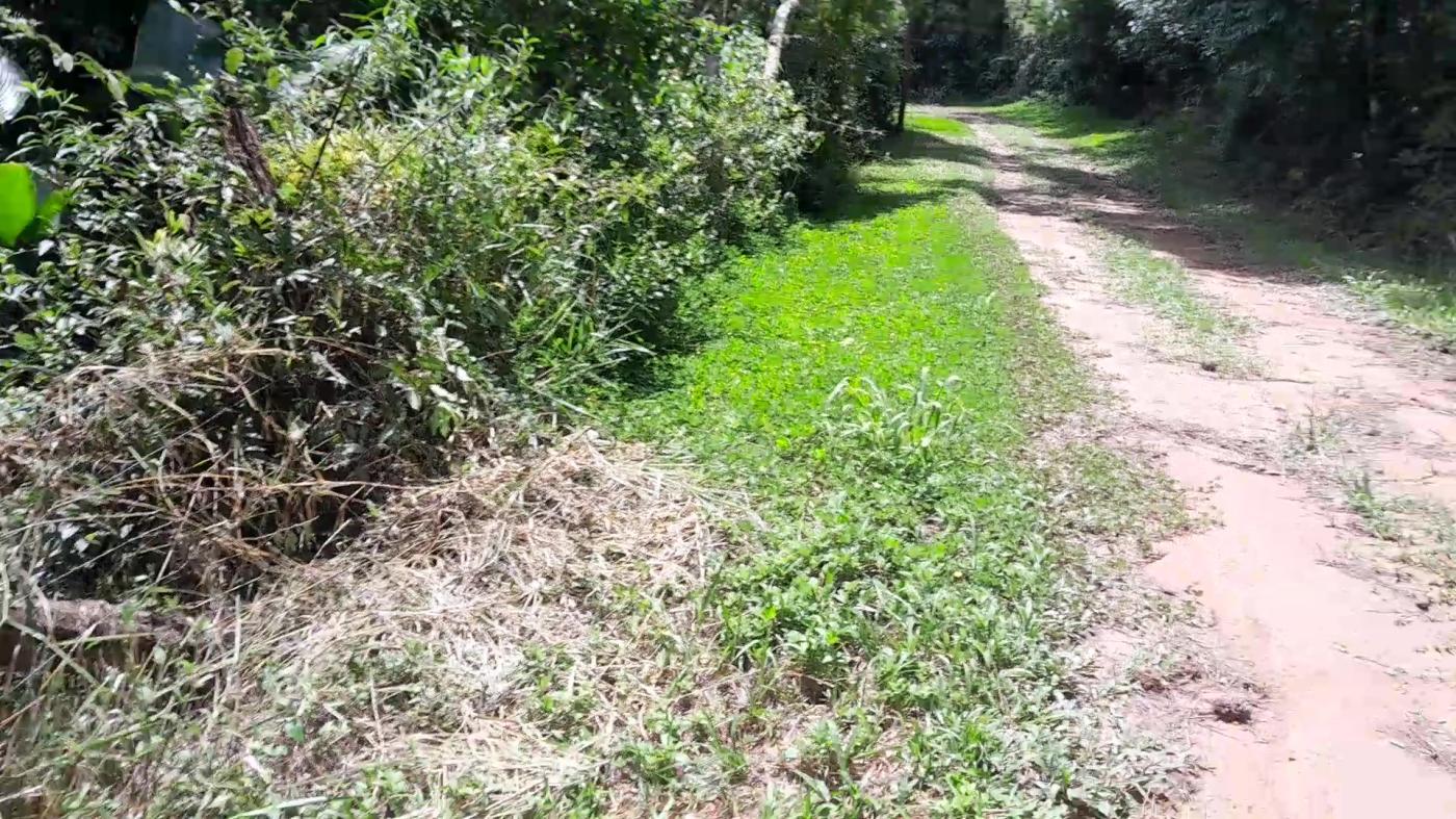 Casa de Condomínio, 4 quartos - Foto 37