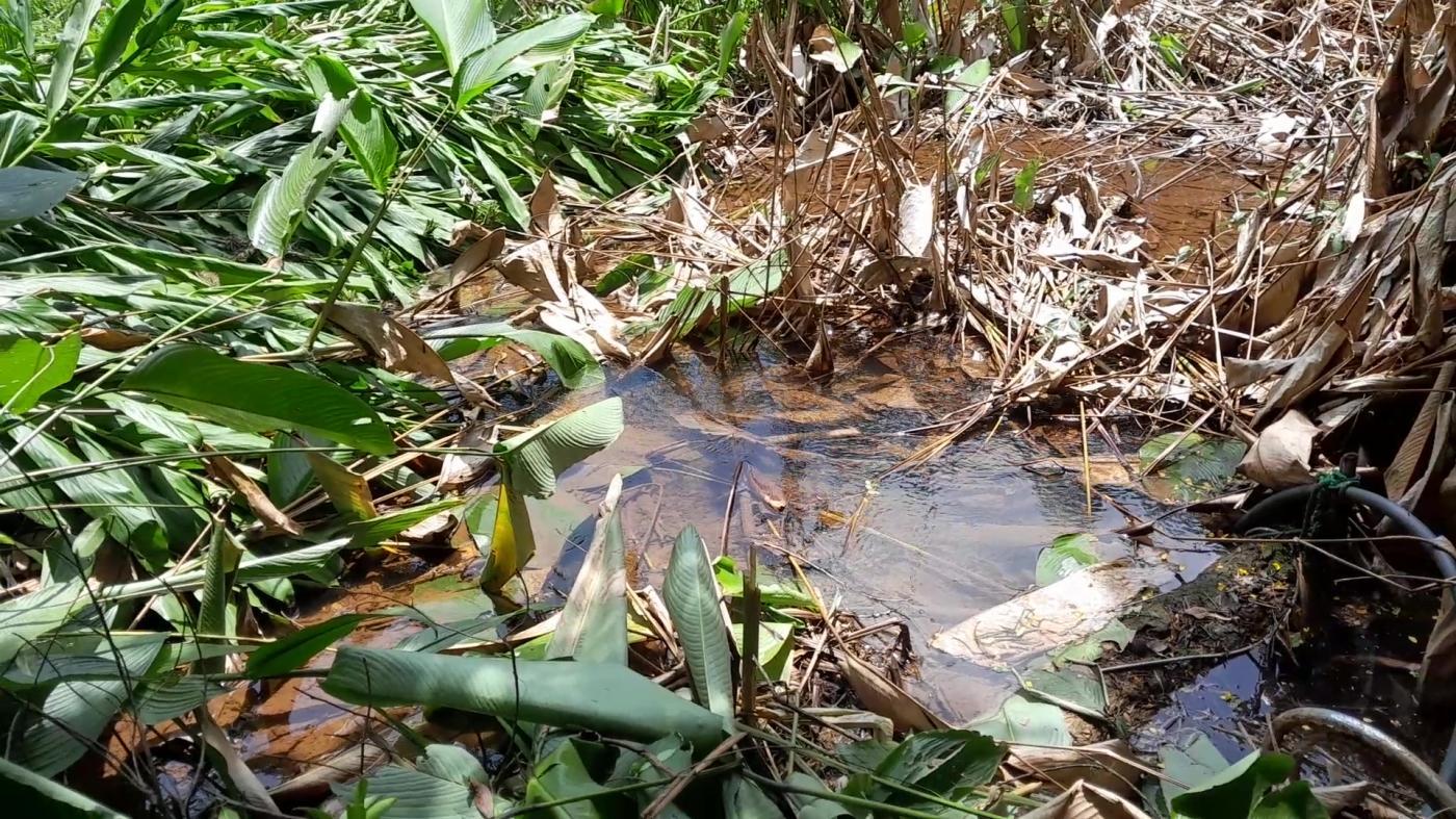 Casa de Condomínio, 4 quartos - Foto 38