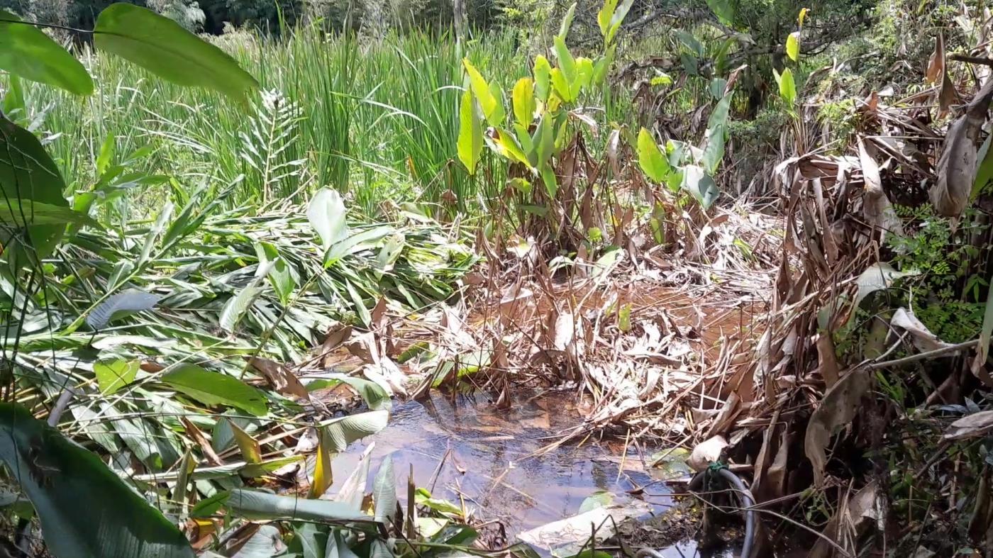 Casa de Condomínio, 4 quartos - Foto 39