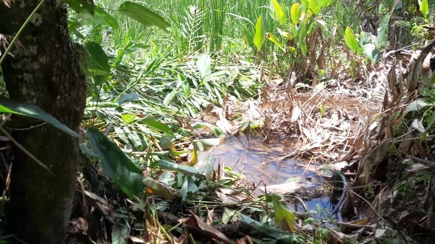 Casa de Condomínio, 4 quartos - Foto 41