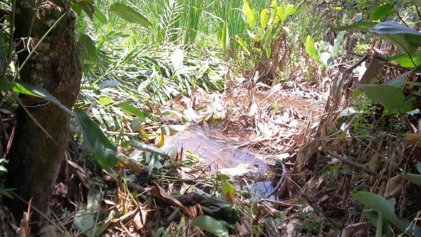 Casa de Condomínio, 4 quartos - Foto 40