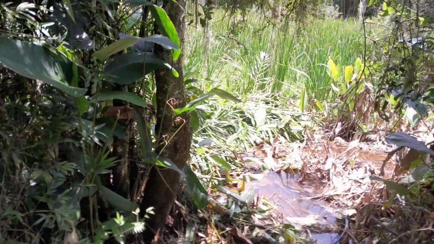 Casa de Condomínio, 4 quartos - Foto 42