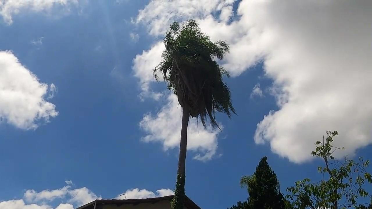 Chácara, 5 quartos, 2000 m² - Foto 10