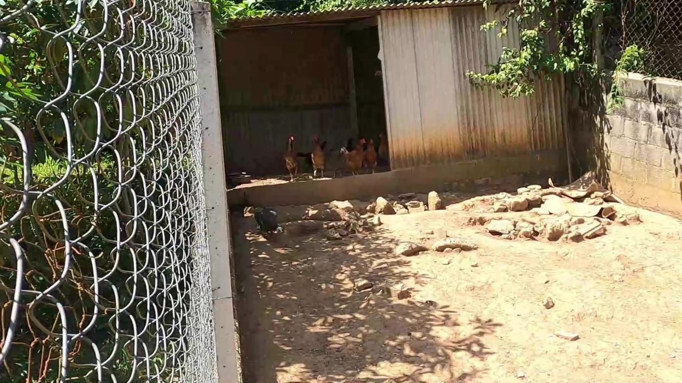 Chácara, 5 quartos, 2000 m² - Foto 40