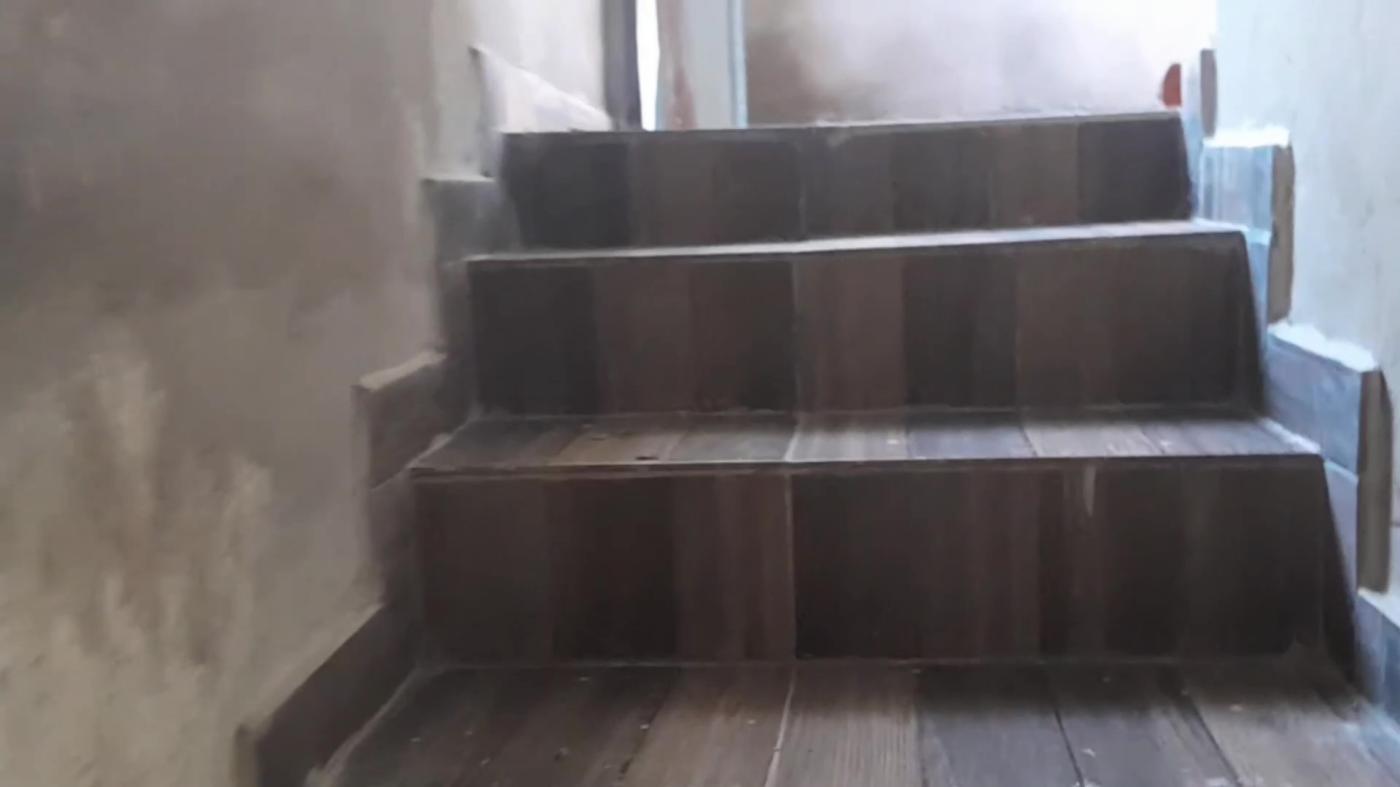 Chácara, 2 quartos, 1800 m² - Foto 8