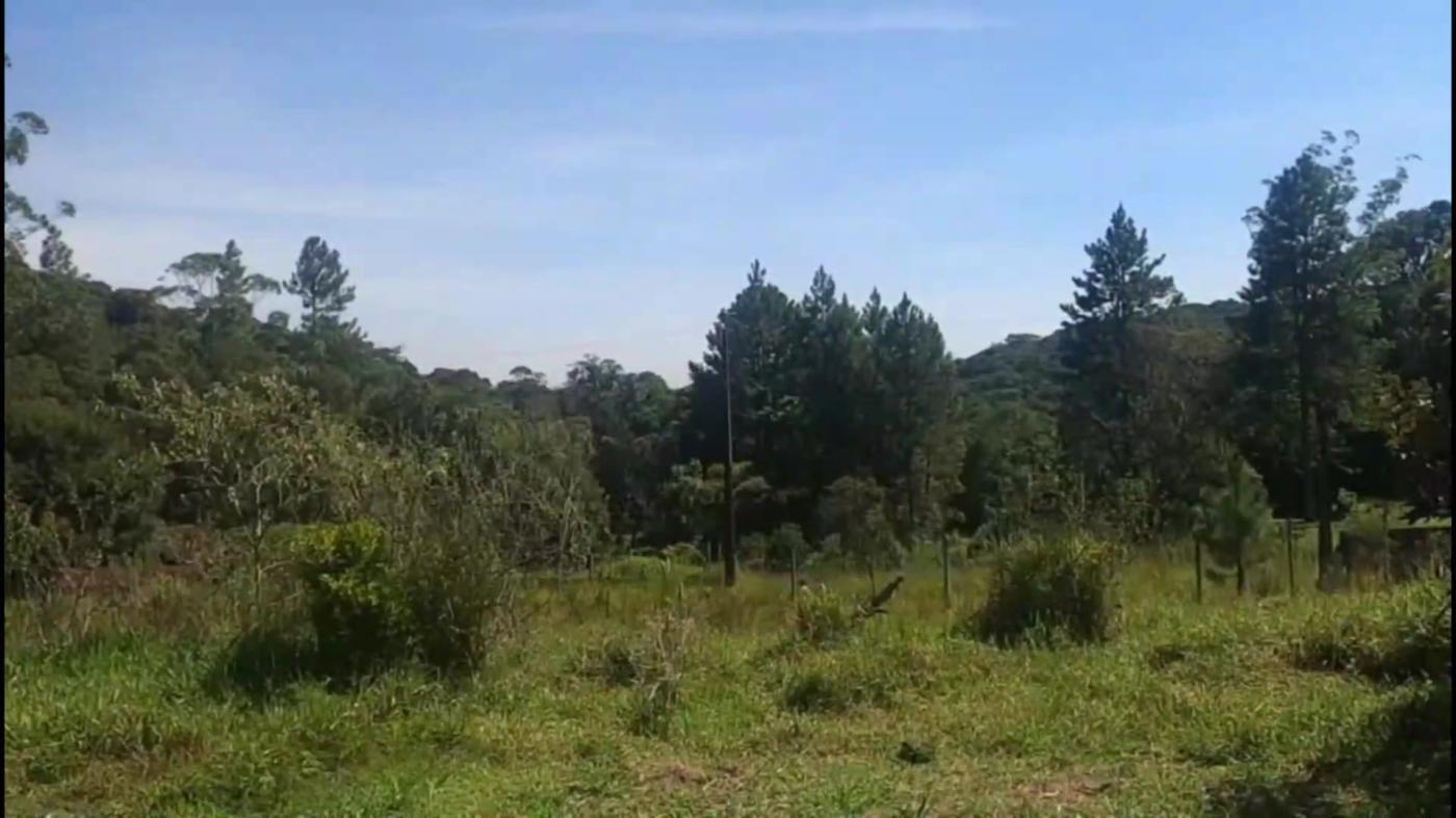 Chácara, 2 quartos, 1800 m² - Foto 19