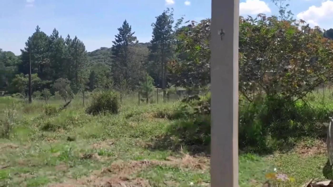 Chácara, 2 quartos, 1800 m² - Foto 20