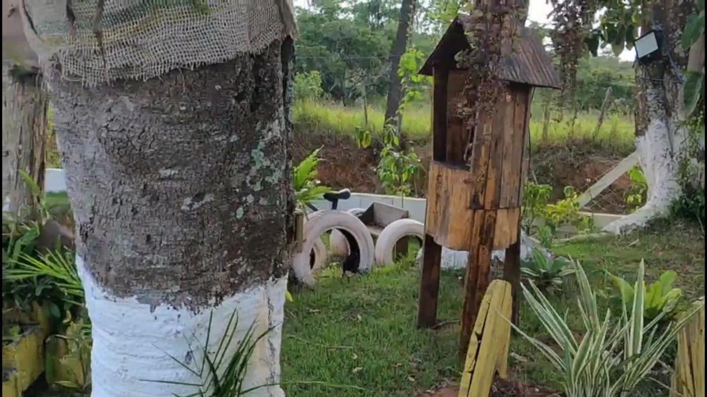 Chácara, 4 quartos, 5220 m² - Foto 12