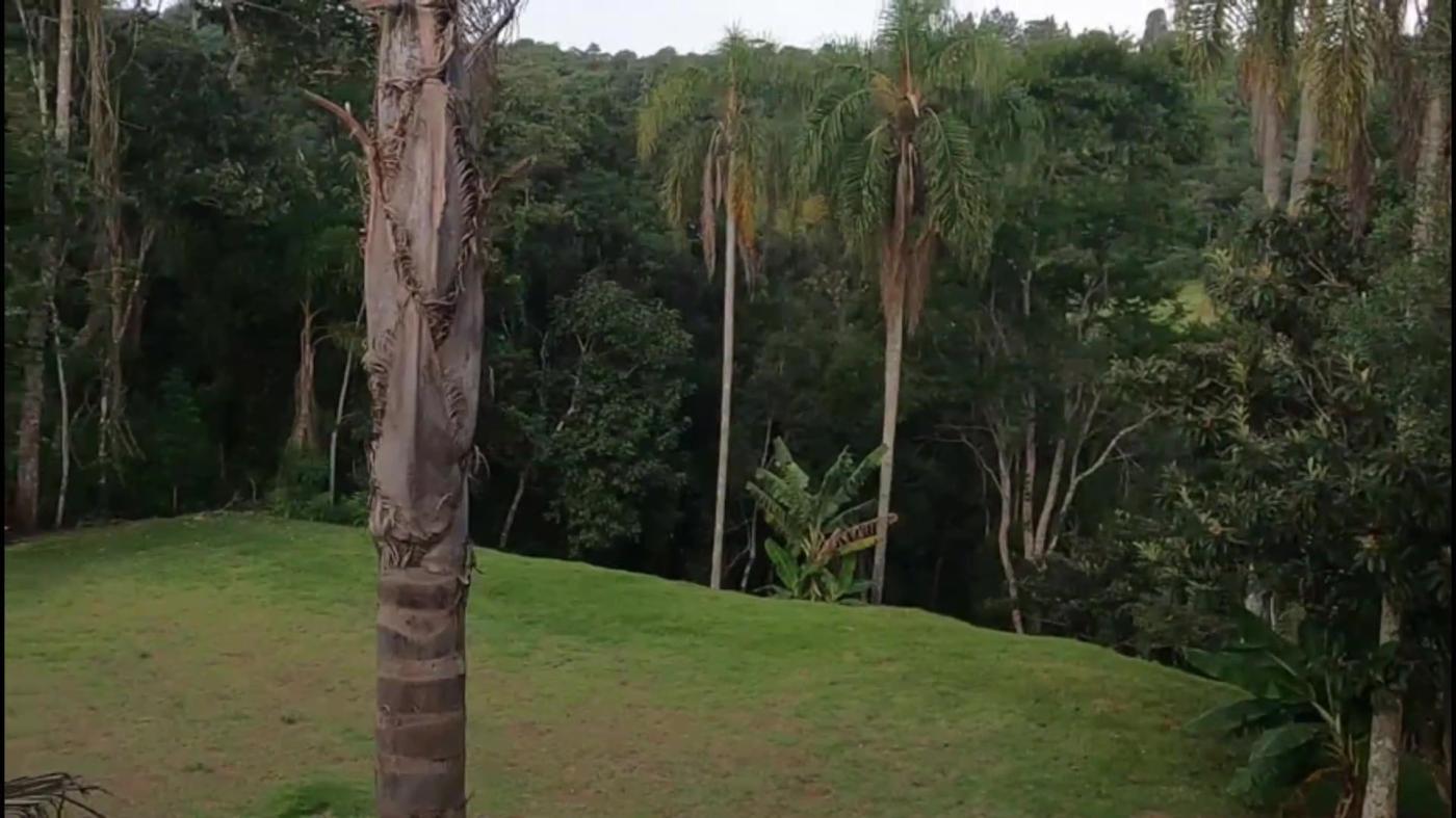 Chácara, 4 quartos, 5220 m² - Foto 38