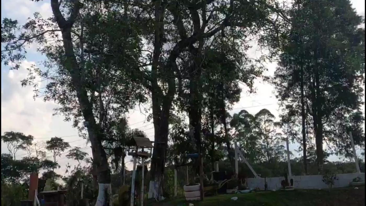 Chácara, 4 quartos, 5220 m² - Foto 47