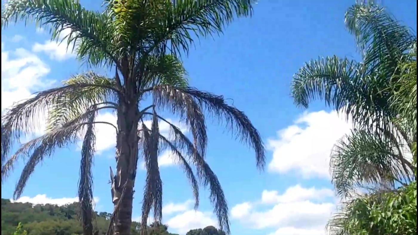 Casa de Condomínio, 4 quartos - Foto 14