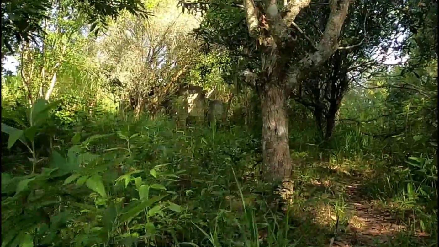 Chácara, 3 quartos, 9500 m² - Foto 5