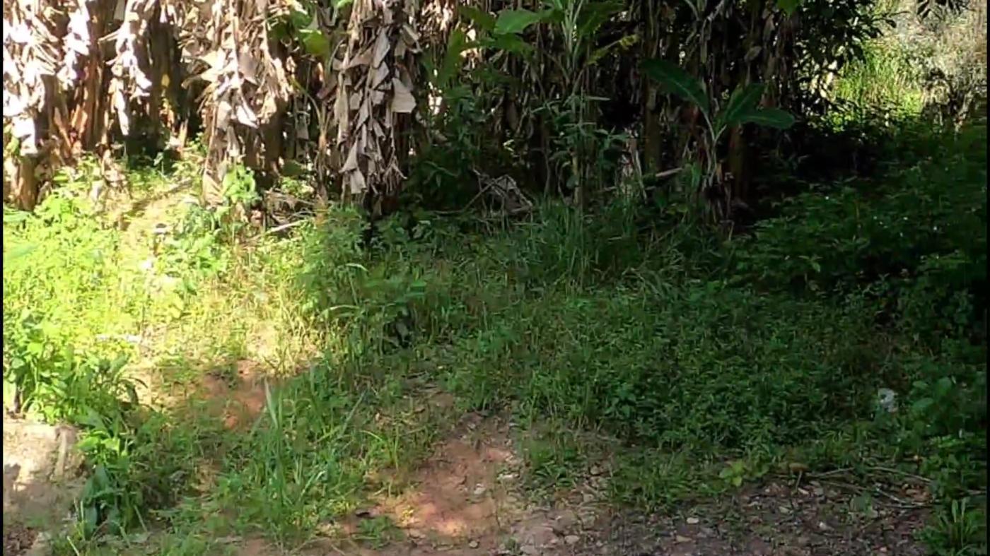 Chácara, 3 quartos, 9500 m² - Foto 4