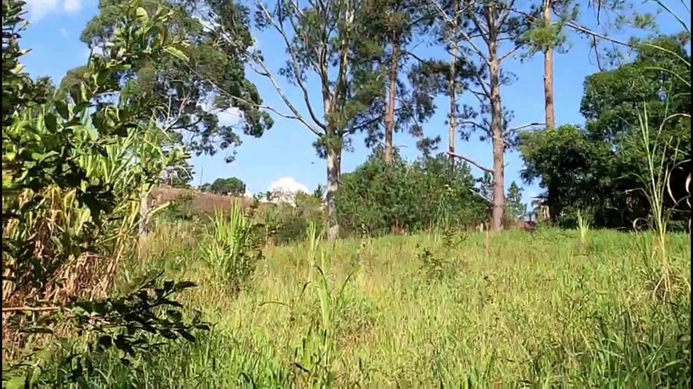 Chácara, 3 quartos, 9500 m² - Foto 7