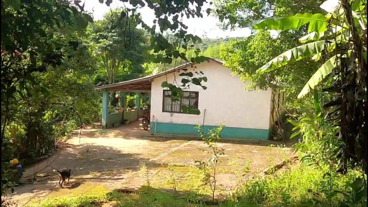 Chácara, 3 quartos, 9500 m² - Foto 8