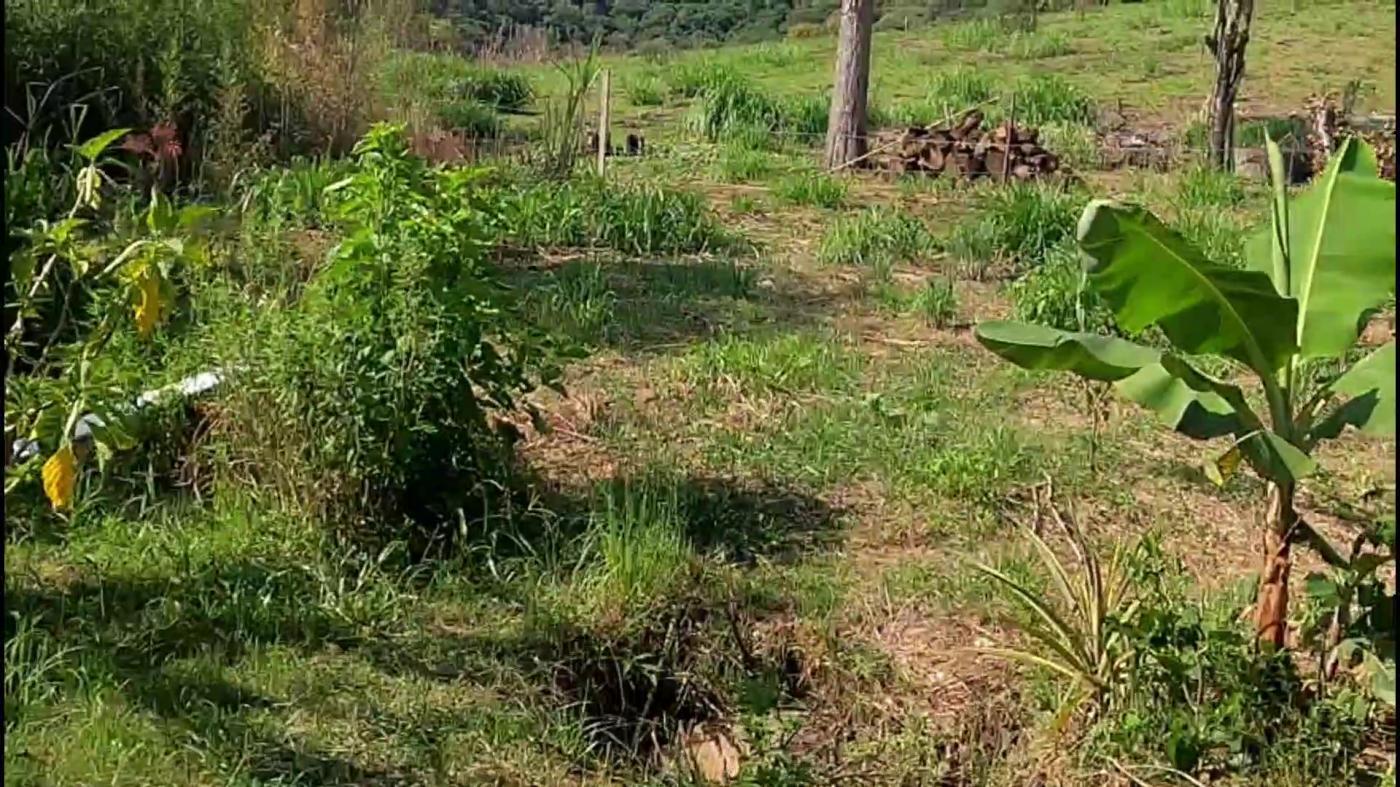 Chácara, 3 quartos, 9500 m² - Foto 14