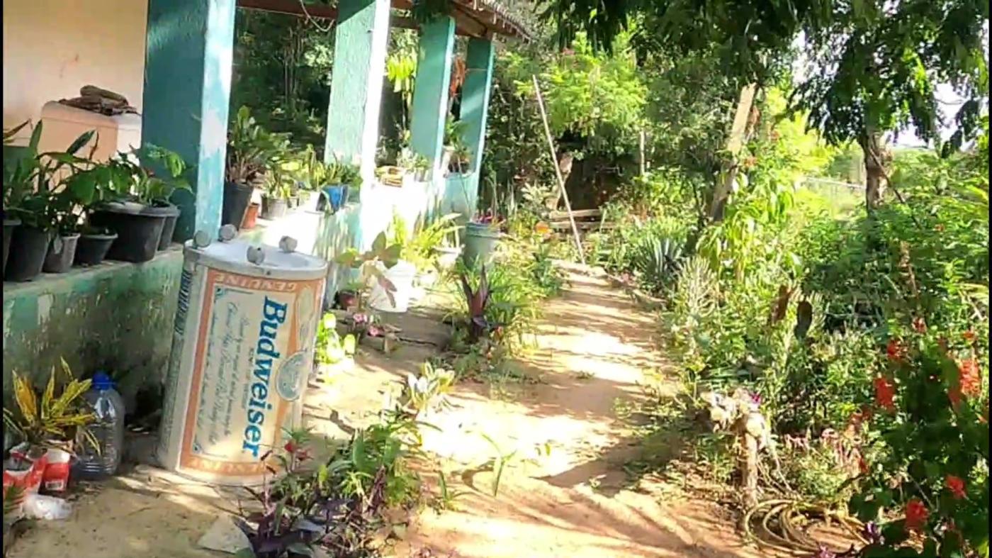 Chácara, 3 quartos, 9500 m² - Foto 29