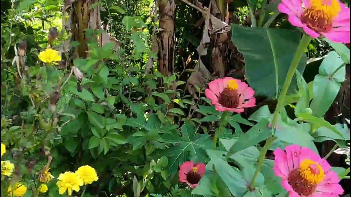 Chácara, 3 quartos, 9500 m² - Foto 28