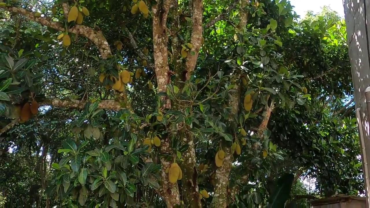 Casa de Condomínio, 2 quartos - Foto 34