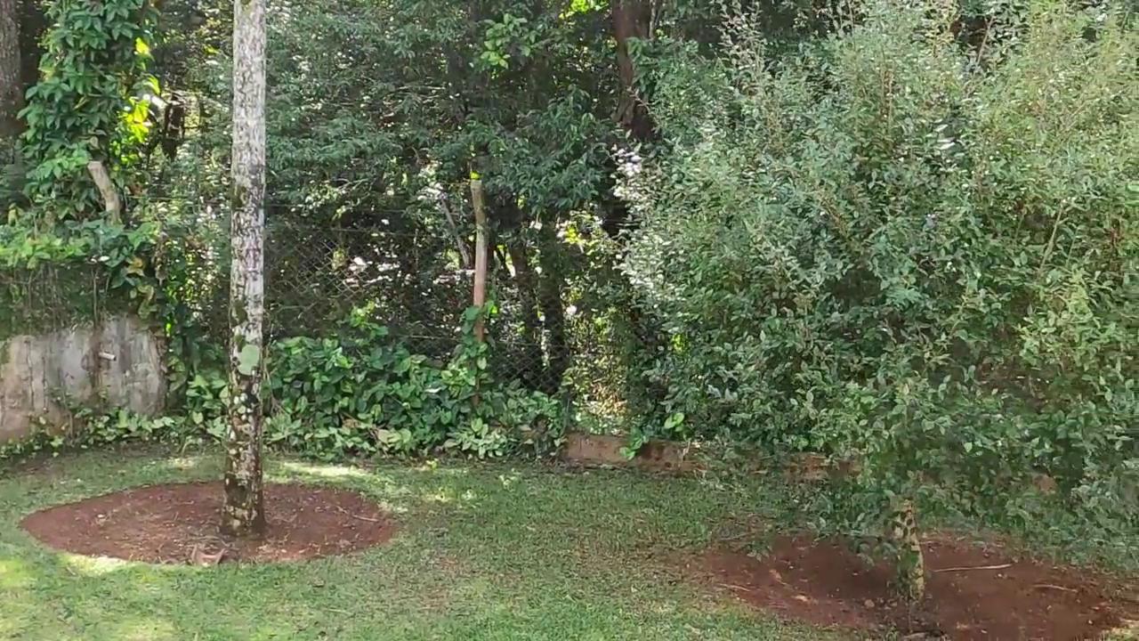 Casa de Condomínio, 2 quartos - Foto 38