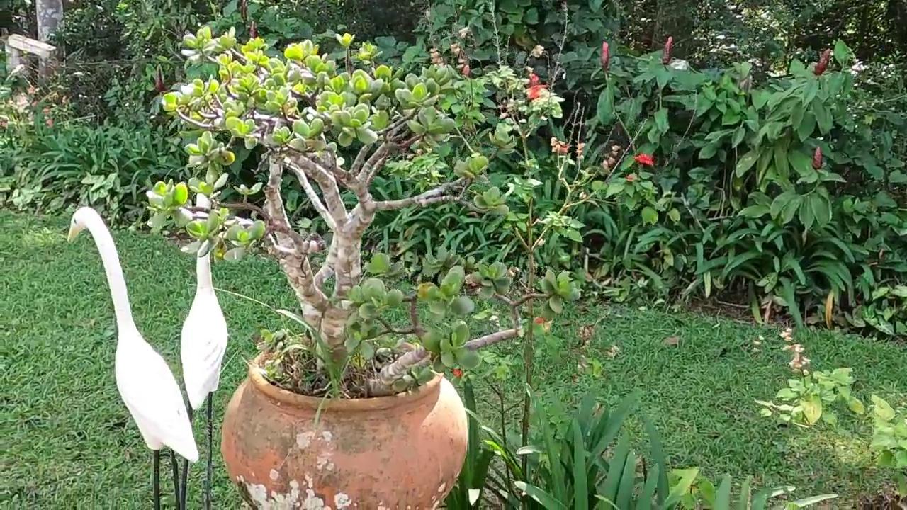 Casa de Condomínio, 2 quartos - Foto 39