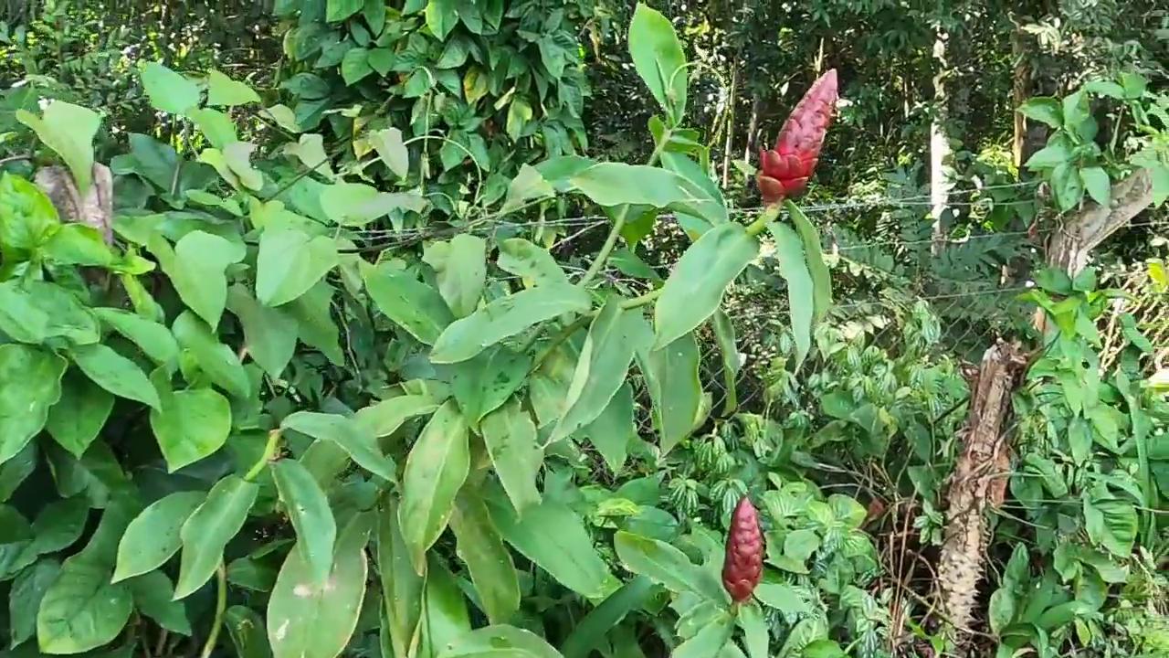 Casa de Condomínio, 2 quartos - Foto 40