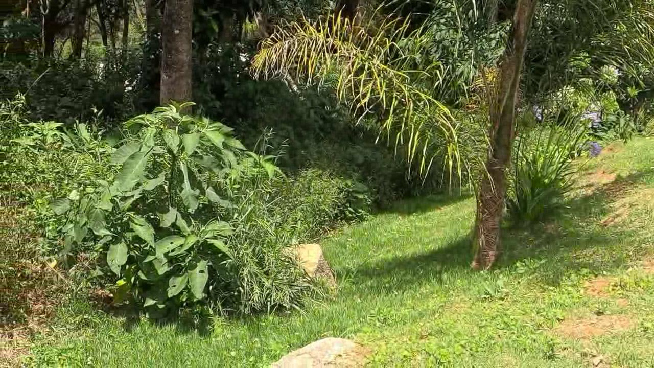 Casa de Condomínio, 3 quartos - Foto 17