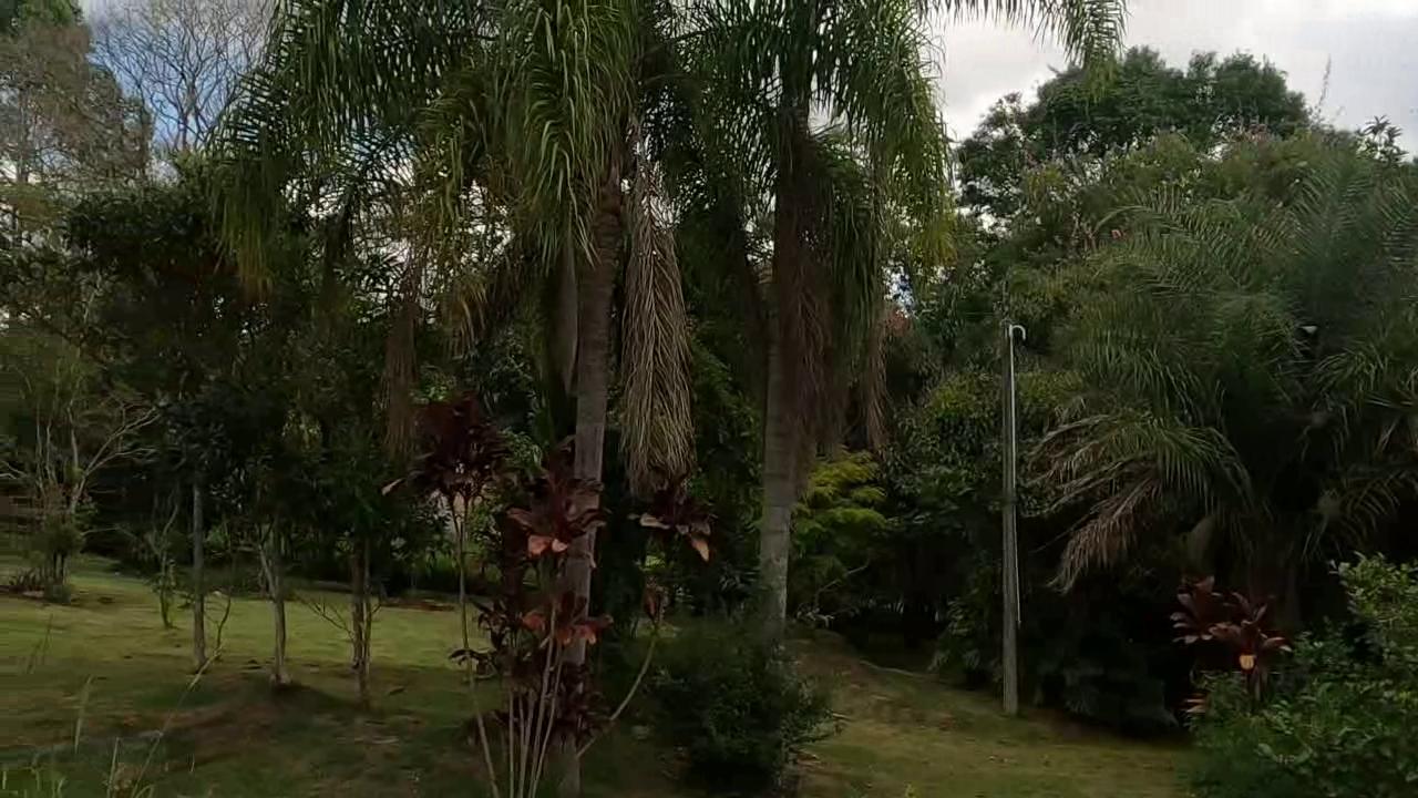 Casa de Condomínio, 4 quartos - Foto 11