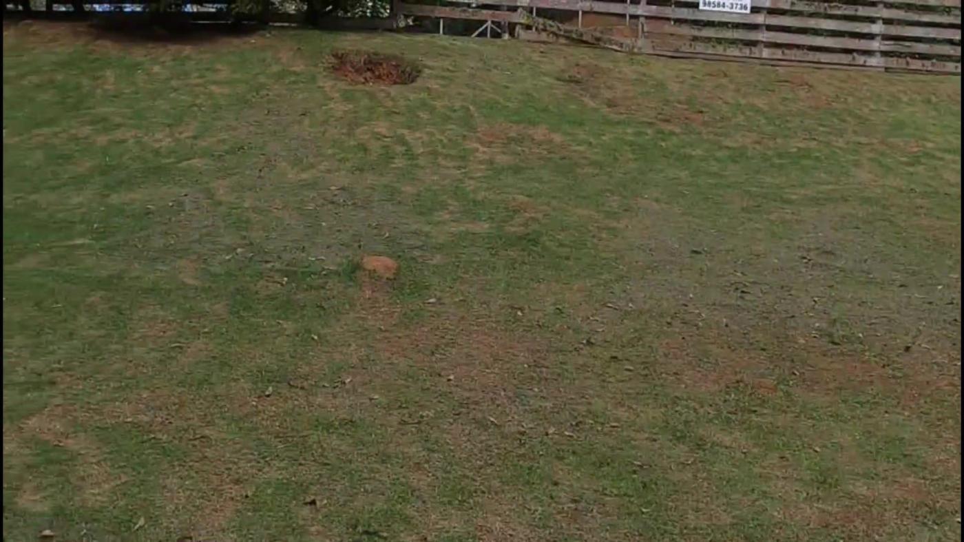 Terreno, 5000 m² - Foto 4