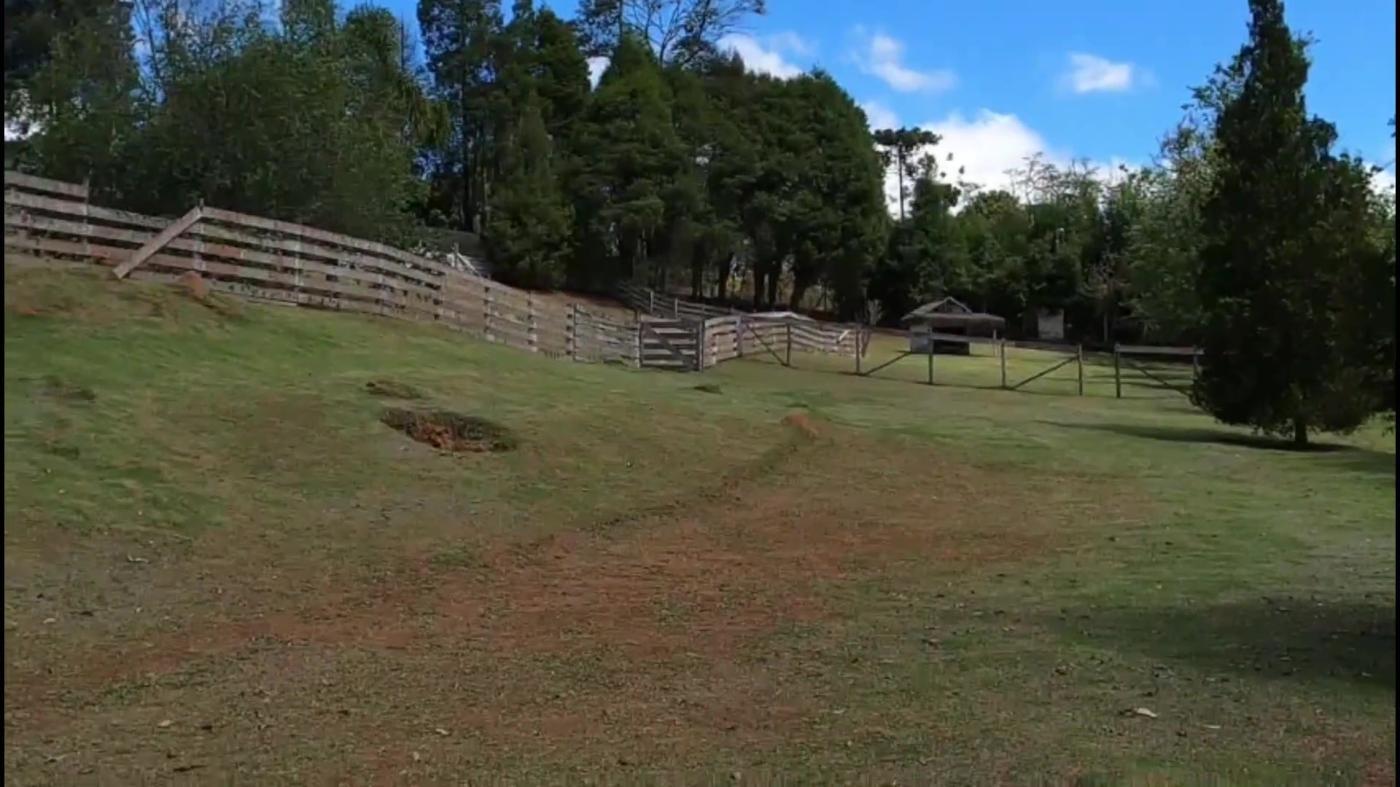 Terreno, 5000 m² - Foto 3