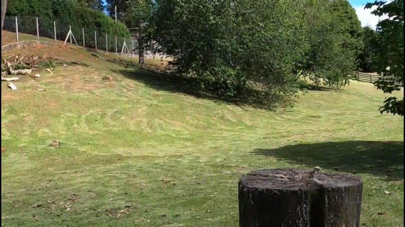 Terreno, 5000 m² - Foto 6