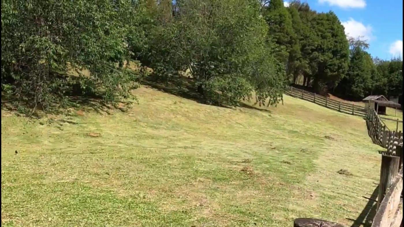 Terreno, 5000 m² - Foto 10