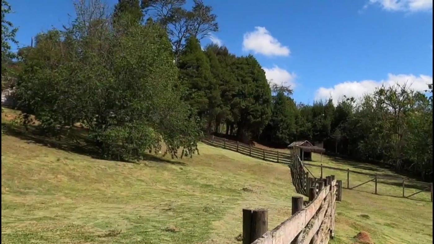 Terreno, 5000 m² - Foto 11