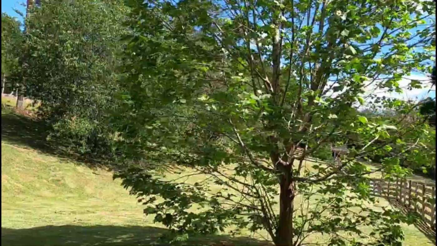 Terreno, 5000 m² - Foto 9