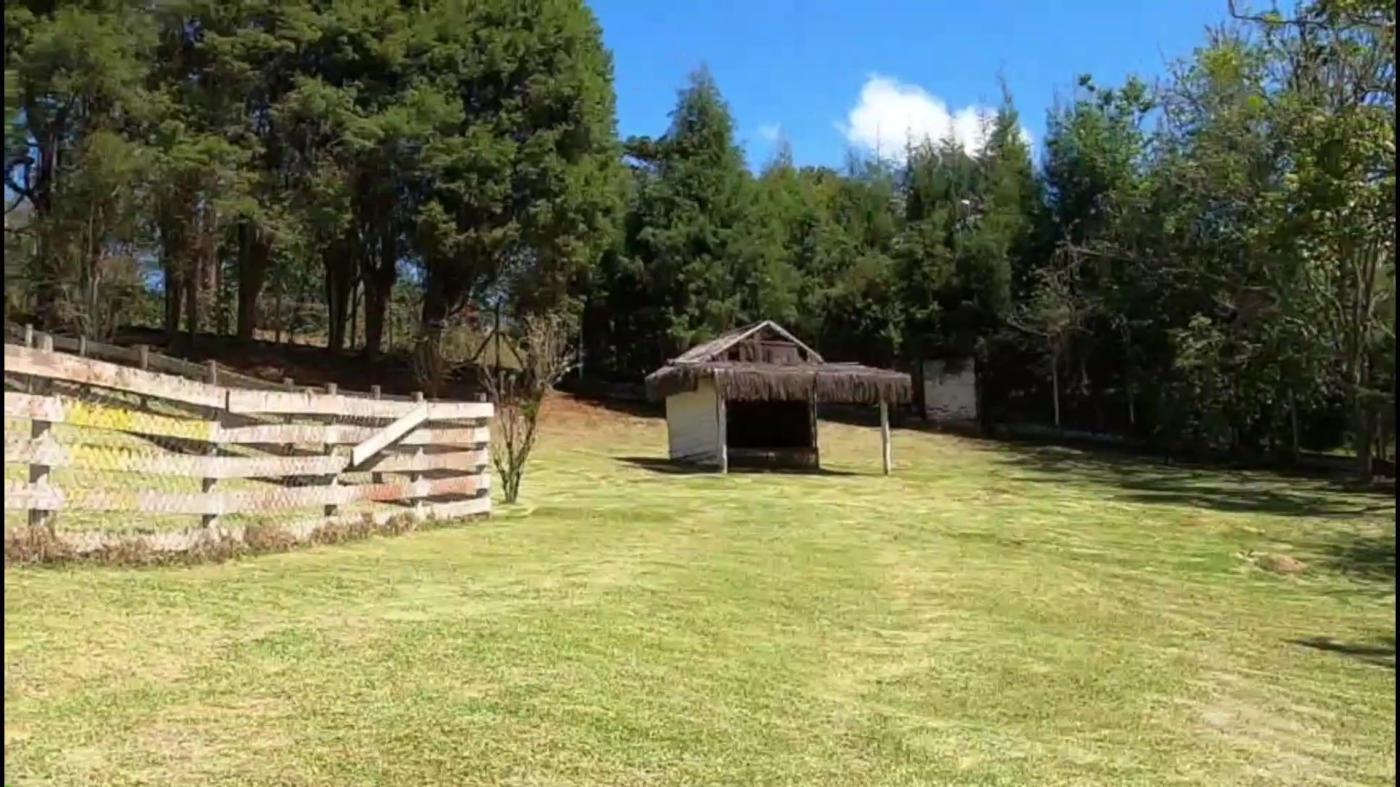 Terreno, 5000 m² - Foto 14