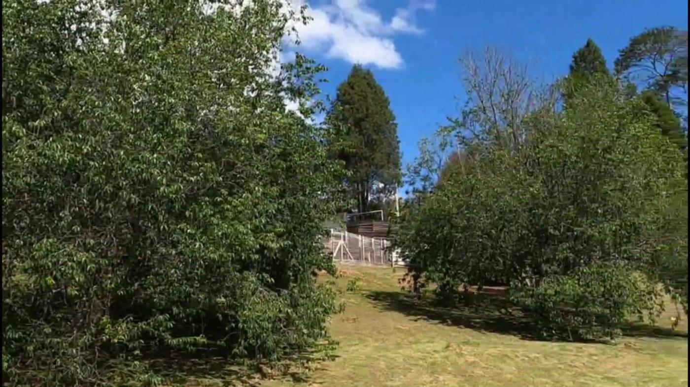 Terreno, 5000 m² - Foto 12