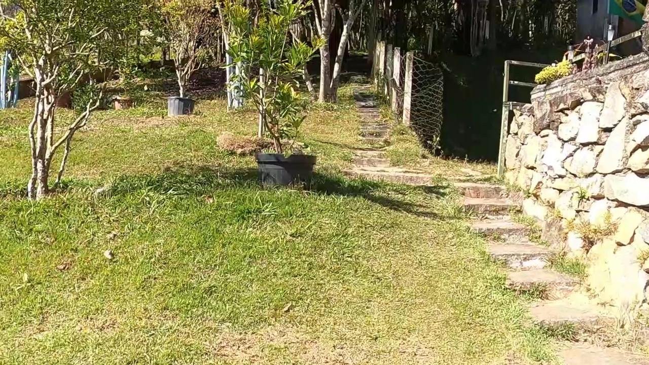 Chácara, 5 quartos, 4300 m² - Foto 33