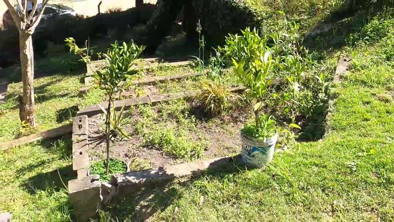 Chácara, 5 quartos, 4300 m² - Foto 39