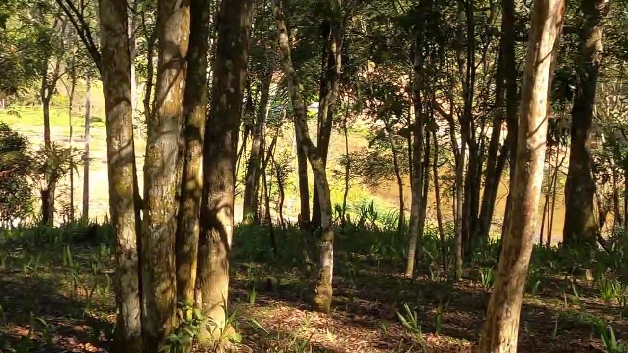 Chácara, 5 quartos, 4300 m² - Foto 51