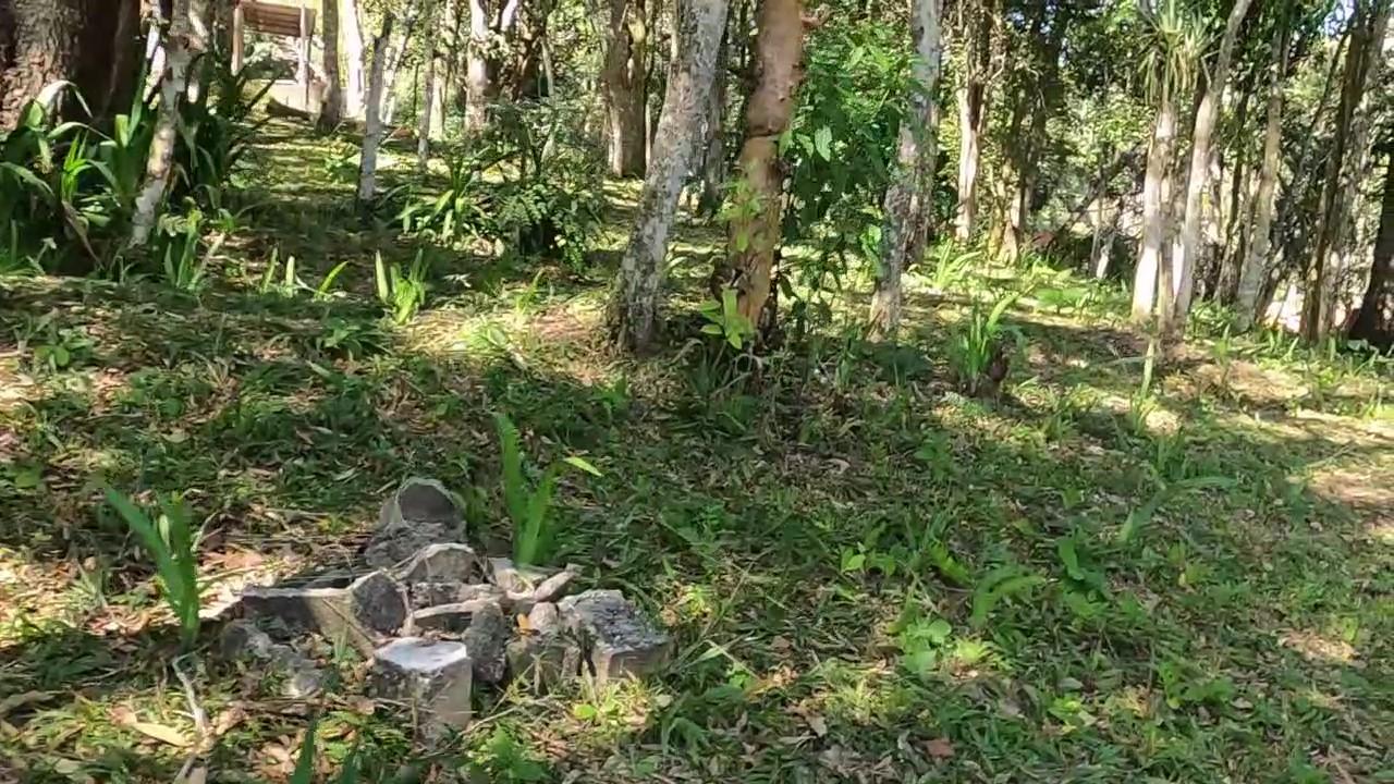 Chácara, 5 quartos, 4300 m² - Foto 50