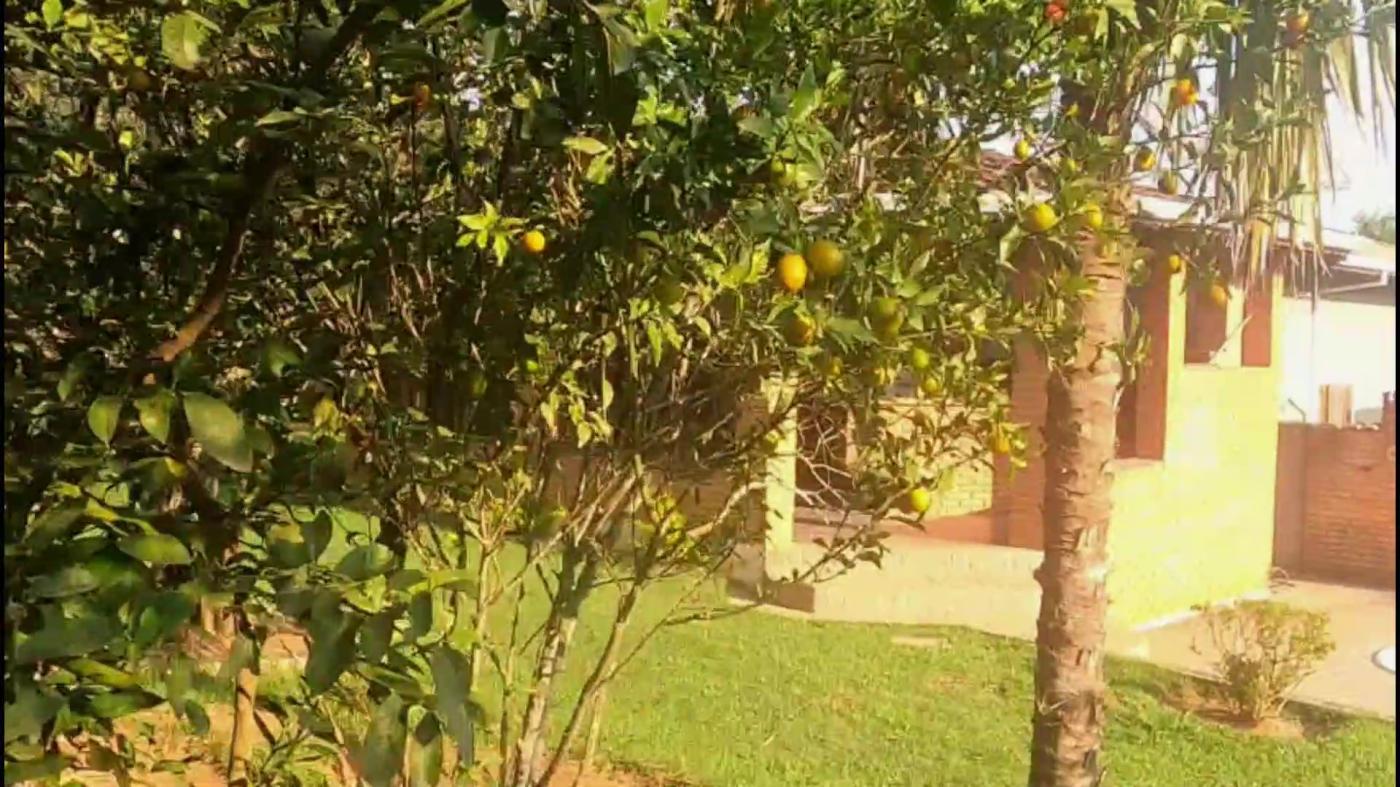 Casa de Condomínio, 3 quartos - Foto 40