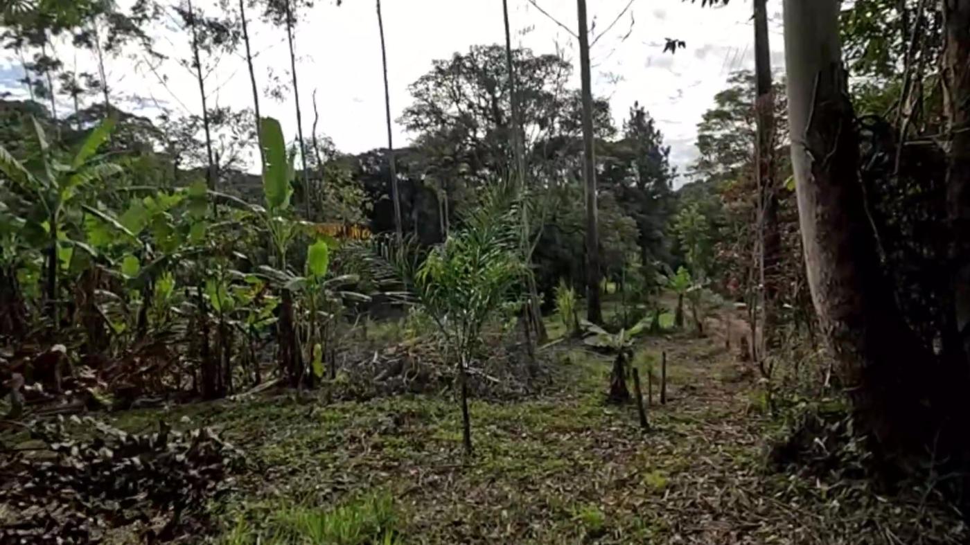 Casa de Condomínio, 3 quartos - Foto 29