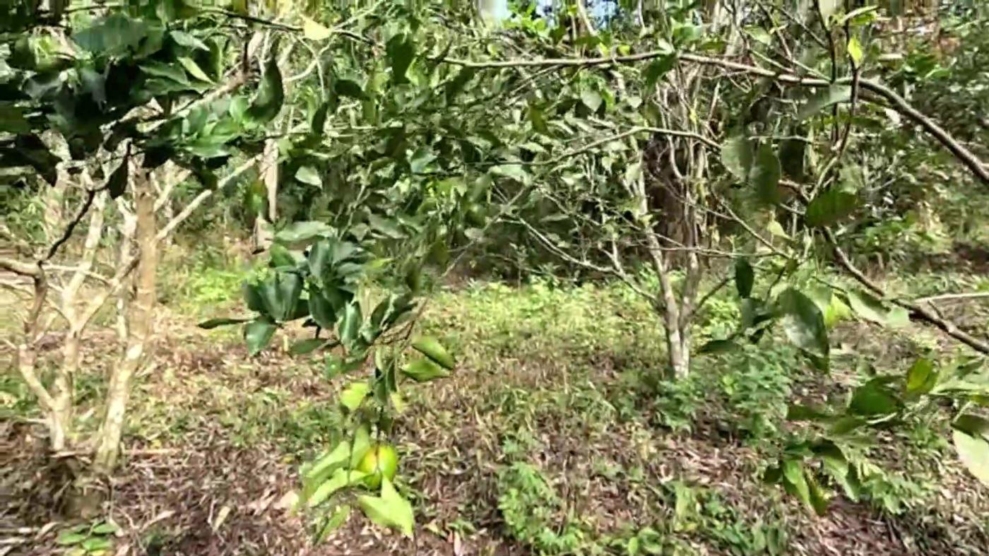 Casa de Condomínio, 3 quartos - Foto 34