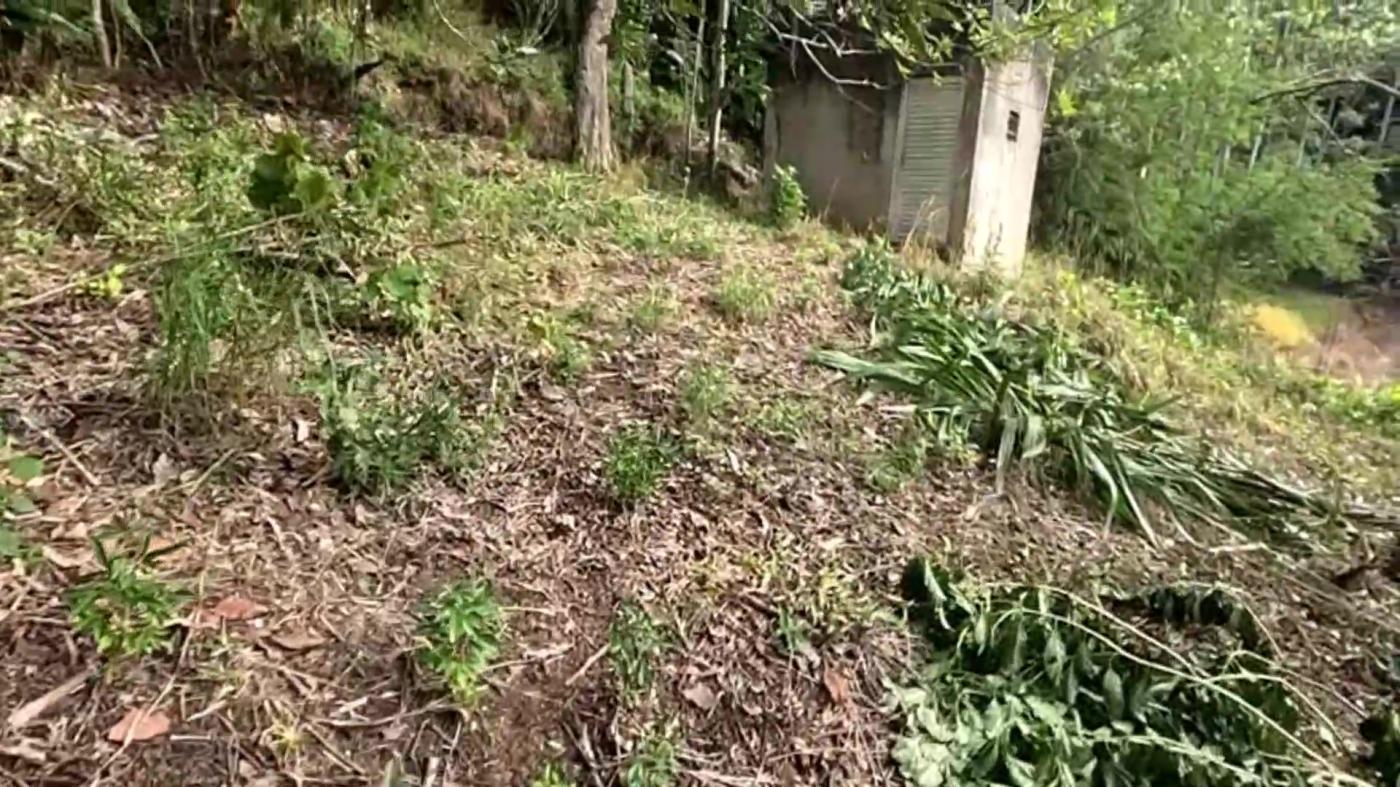 Casa de Condomínio, 3 quartos - Foto 35