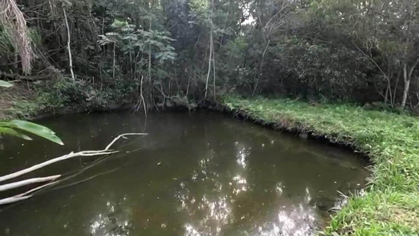 Casa de Condomínio, 3 quartos - Foto 41