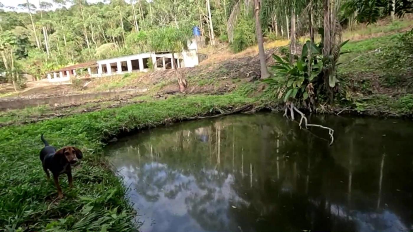 Casa de Condomínio, 3 quartos - Foto 42