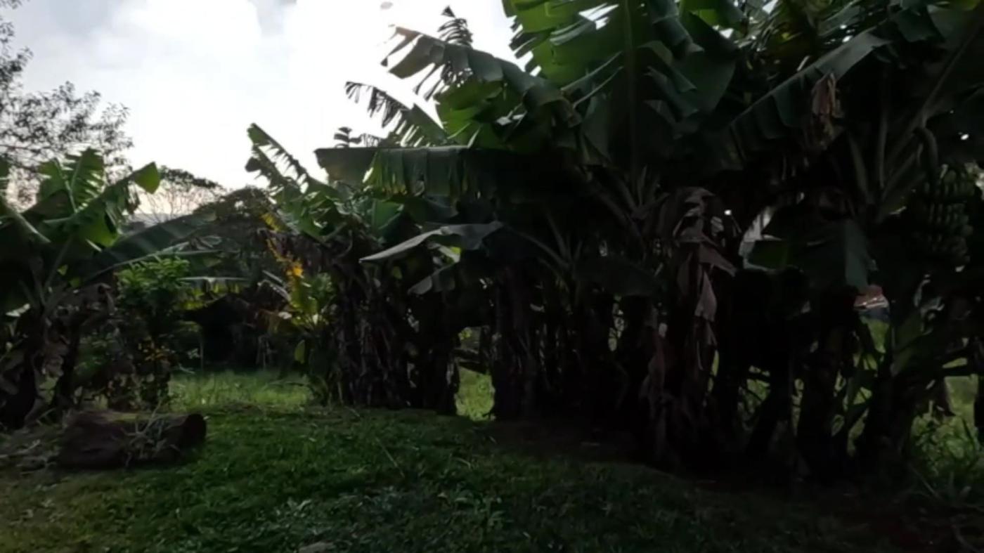 Chácara, 3 quartos, 1000 m² - Foto 24