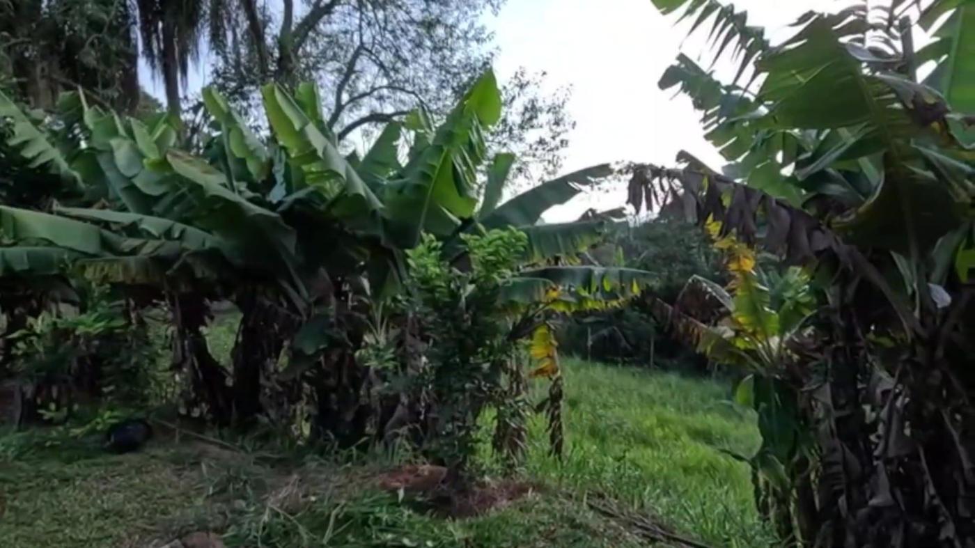 Chácara, 3 quartos, 1000 m² - Foto 25