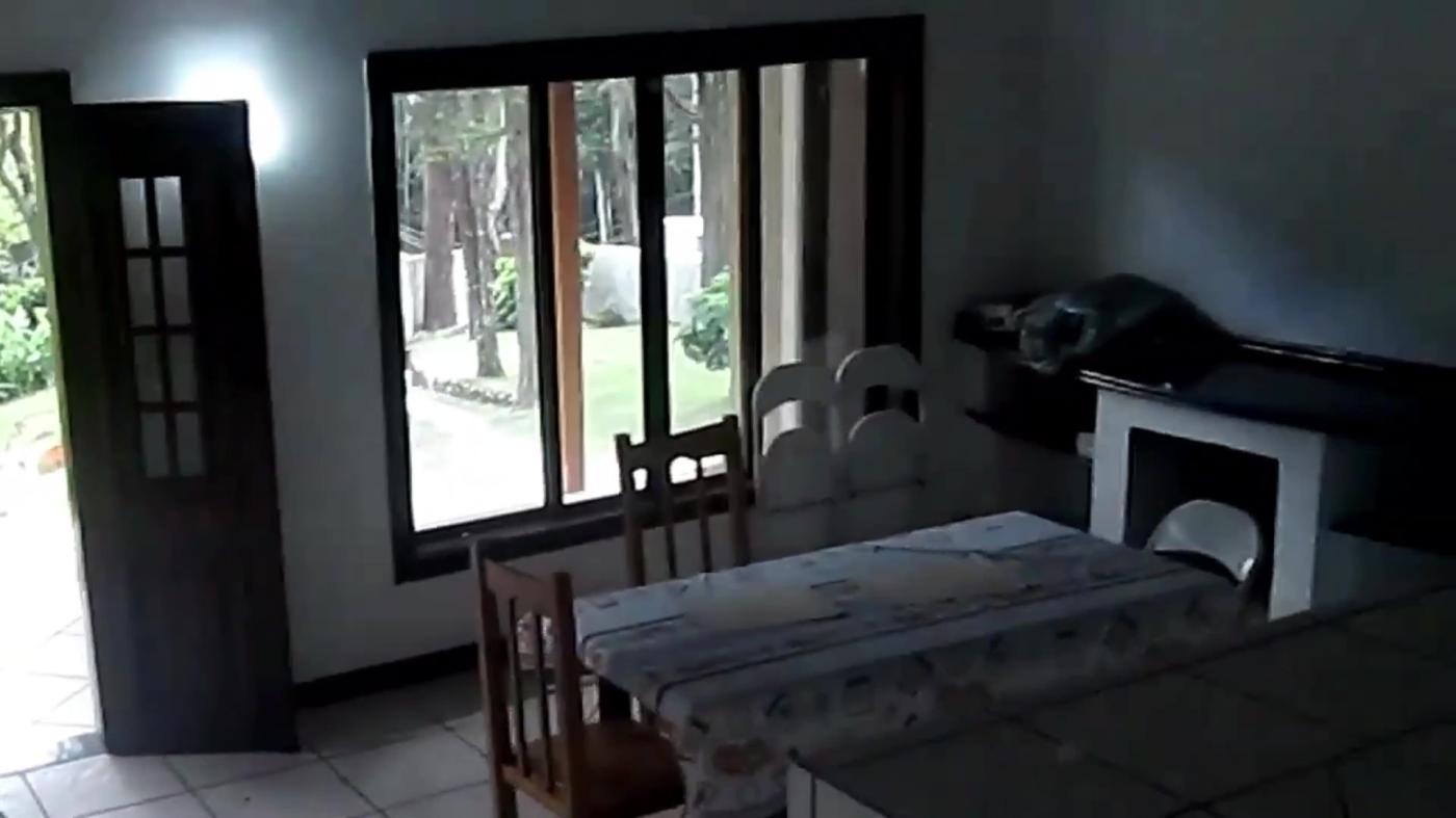 Chácara, 4 quartos, 4000 m² - Foto 15